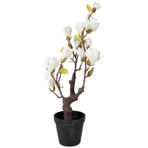 Clayre & Eef Magnoliaboom 60 cm wit-bruin