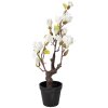 Clayre & Eef Magnoliaboom 60 cm wit-bruin