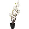 Clayre & Eef Magnoliaboom 60 cm wit-bruin
