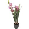 Clayre & Eef kunstplant Cattleya Hybrida roze-groen 14x14x55 cm