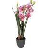 Clayre & Eef kunstplant Cattleya Hybrida roze-groen 14x14x55 cm