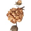Clayre & Eef decoratief takje met bloemen bruin-groen 14x17x73 cm