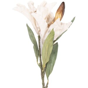 Clayre & Eef Zweig met bloemen beige-groen 12x16x88 cm