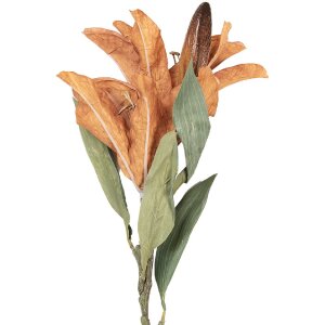 Clayre & Eef kerstdecoratie tak met bloemen bruin groen 12x16x88 cm