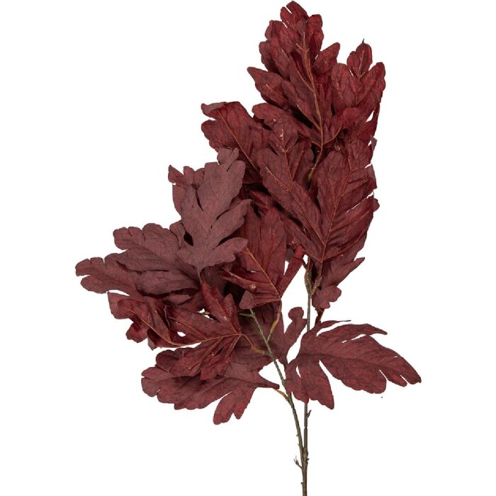 Clayre & Eef decoratieve tak roodbruin 15x22x104 cm