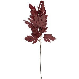 Clayre & Eef decoratieve tak roodbruin 15x22x104 cm