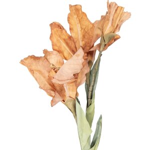 Clayre & Eef 5PL0256Y Dekoration Zweig mit Blumen 10x18x85 cm Braun-Grün