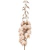 Clayre & Eef kerstdecoratie tak met bloemen beige-bruin 12x12x100 cm