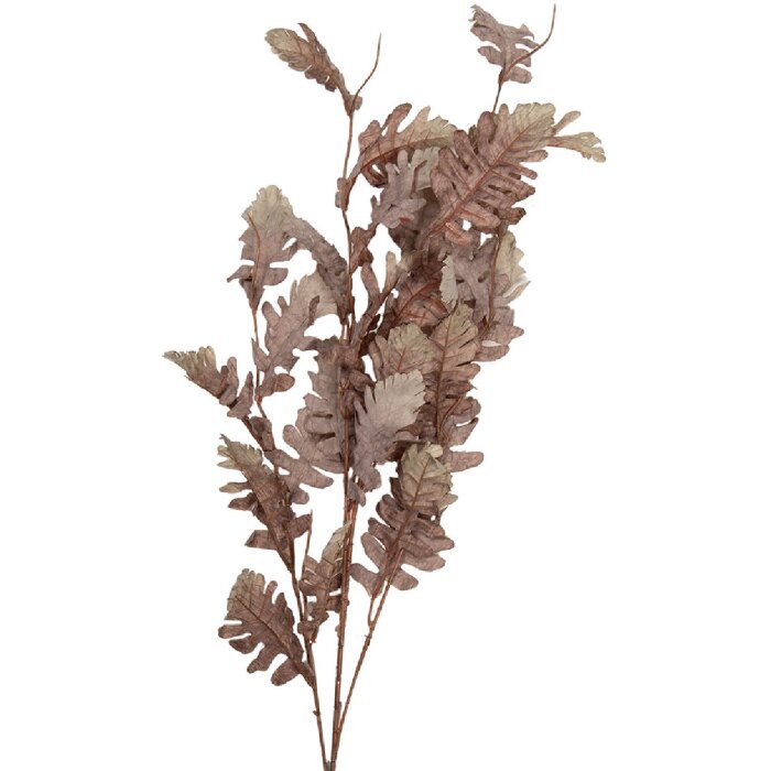 Clayre & Eef Kerstdecoratie Zweig beige-bruin 10x15x108 cm