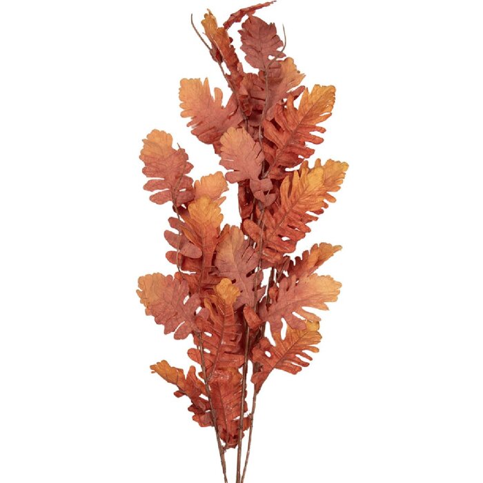 Clayre & Eef decoratieve tak 10x15x108 cm natuurlijk oranje-bruin