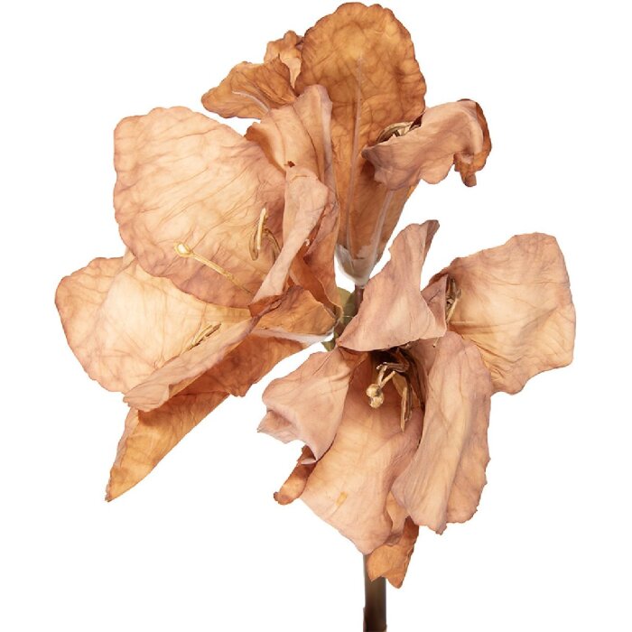 Clayre & Eef Kunstbloem 16x16x65 cm Bruin