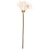 Clayre & Eef Kunstbloem Beige-Bruin 16x16x65 cm