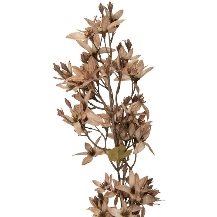 Clayre & Eef decoratieve bloemtak beige-groen 10x10x95 cm