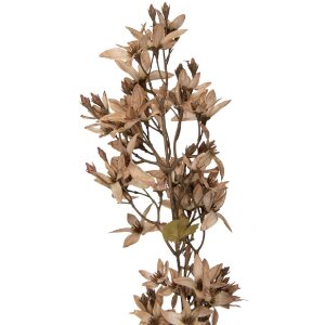 Clayre & Eef decoratieve bloemtak beige-groen 10x10x95 cm