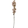Clayre & Eef decoratieve bloemtak beige-groen 10x10x95 cm