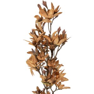 Clayre & Eef Kerstdecoratie Tak met Bloemen, bruin-groen, 10x10x95 cm