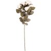 Clayre & Eef 6PL0416W Dekoration Zweig mit Blumen Beige und Grün 8x13x43 cm