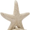 Mauro Ferretti Decoratief Beeld Stella Marina Sand, Beige, 18x13x21,2 cm