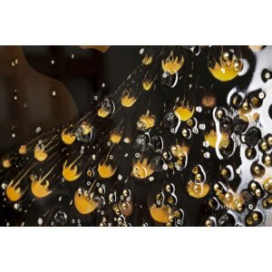 Mauro Ferretti Wanddecoratie "Pauw" – Gouden accenten, 70x100 cm