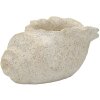 Mauro Ferretti Dekovaas SHELL SAND Beige 35x23x18cm