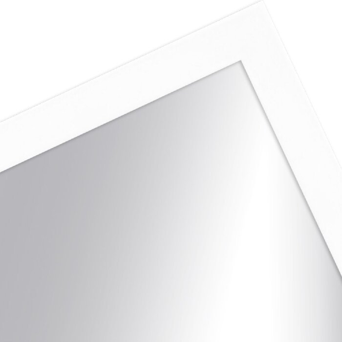MendeFrames Spiegel Serie H960 wit 20x40 cm