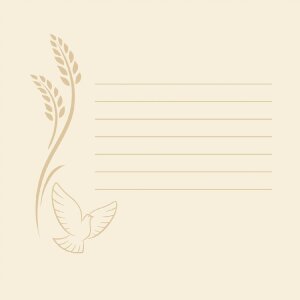 ZEP Communiefotoalbum wit 24x24 cm met vensterstansing