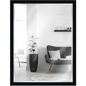 MendeFrames Wandspiegel H490 Modern zwart 50x60 cm