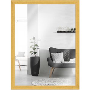 MendeFrames Wandspiegel H430 Klassik goud 45x60 cm
