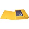 Archiefdoos Exabox rug 60mm met etiket Manilla karton Nature Future, din a4 Geel