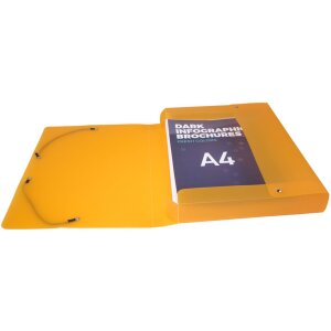Archiefdoos met drukknop uit pp 800µ rug 40mm linicolour, din a4 geassorteerde kleuren