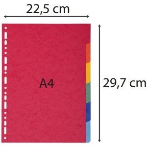 Natuur Toekomst Register din a4 met 6 tabbladen