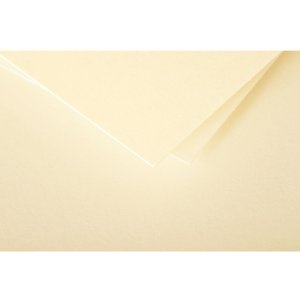 Papier a4 Pollen 210g zeem 25 vel