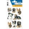 schattige hondenstickers uit de decorreeks, zelfklevend