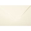 Set van 25 dubbele kaarten Pollen, dl 106x213mm, 210g - Ivoor