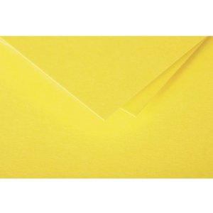 Envelop dl Pollen 120g Zon