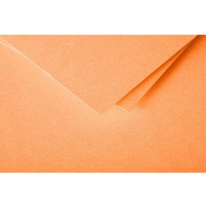 Enveloppe stuifmeel 20 stuks clementine 75x100 mm 120g