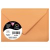 Enveloppe stuifmeel 20 stuks clementine 75x100 mm 120g