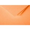 Enveloppe stuifmeel 20 stuks clementine 75x100 mm 120g