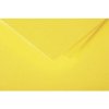Envelop Pollen 20 stuks zongeel 90x140 mm 120g