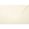Pak 25 kaarten stuifmeel, 135x135mm, 210g ivoor