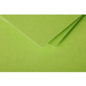 Dubbele kaart Pollen 135x135 mint