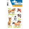 charmante paardenstickers uit de DECOR-serie