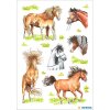 charmante paardenstickers uit de DECOR-serie