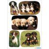 herma stickers schattige hond puppies van decor