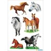 charmante paardenstickers uit de DECOR-serie