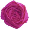 Rol crêpepapier in opera-rood - 95108c Clairefontaine