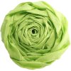 Rol crêpepapier in appelgroen - 95119c Clairefontaine