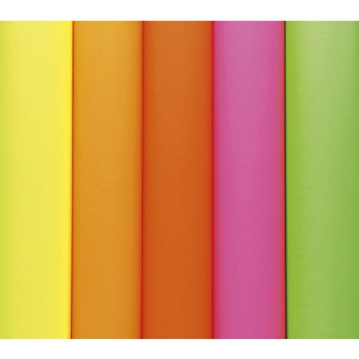 Karton uitwisbaar 60x80 cm 550g 10 vellen assorti