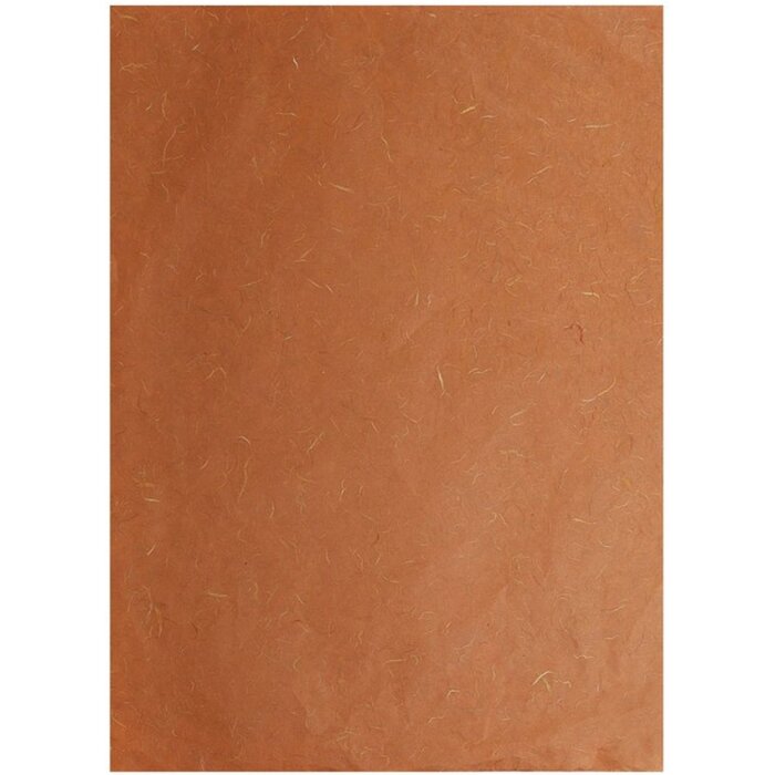 Pak strozijde, 65x95cm, 10 vellen, 35g Bruin