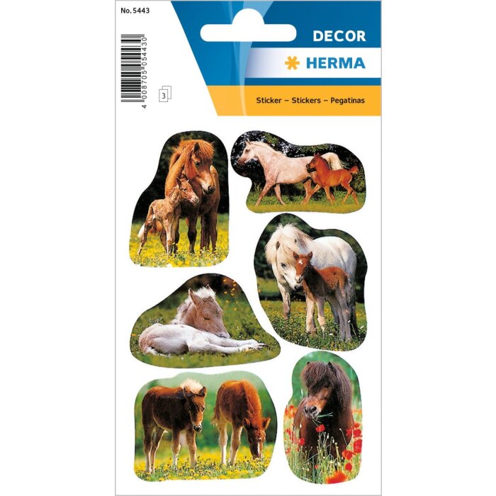 schattige paarden fotos als stickers van decor